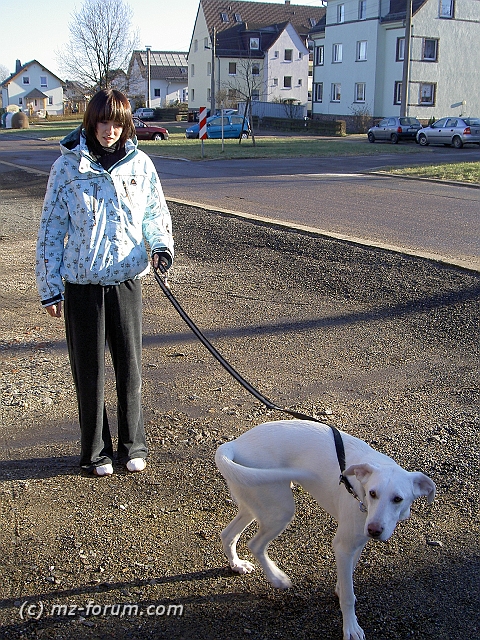 PICT0126.JPG - Gastgebertochter mit Gastgeberhund.
